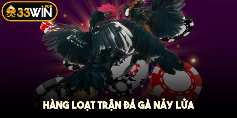 Hàng loạt trận đá gà nảy lửa