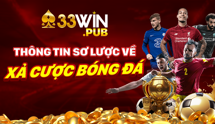banner 33win