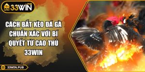 Cách Bắt Kèo Đá Gà Chuẩn Xác Với Bí Quyết Từ Cao Thủ 33WIN