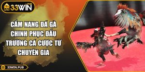 Cẩm Nang Đá Gà Chinh Phục Đấu Trường Cá Cược Từ Chuyên Gia