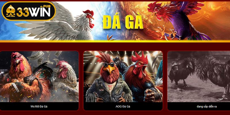 Khái quát về sảnh chơi đá gà 33WIN