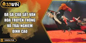 Đá Gà Cựa Sắt Văn Hóa Truyền Thống Và Trải Nghiệm Đỉnh Cao